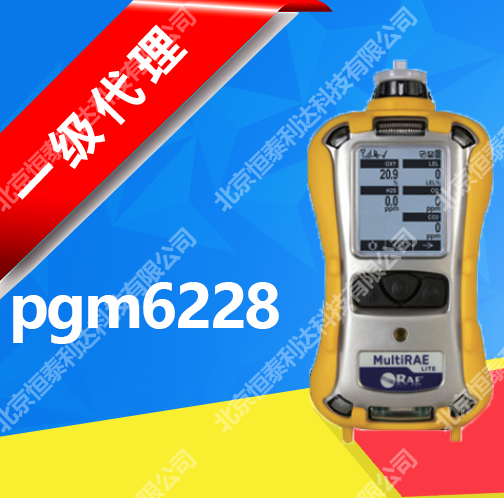 美國(guó)華瑞MultiRAEPro，PGM-6248六合一有毒有害氣體檢測(cè)儀PGM6248