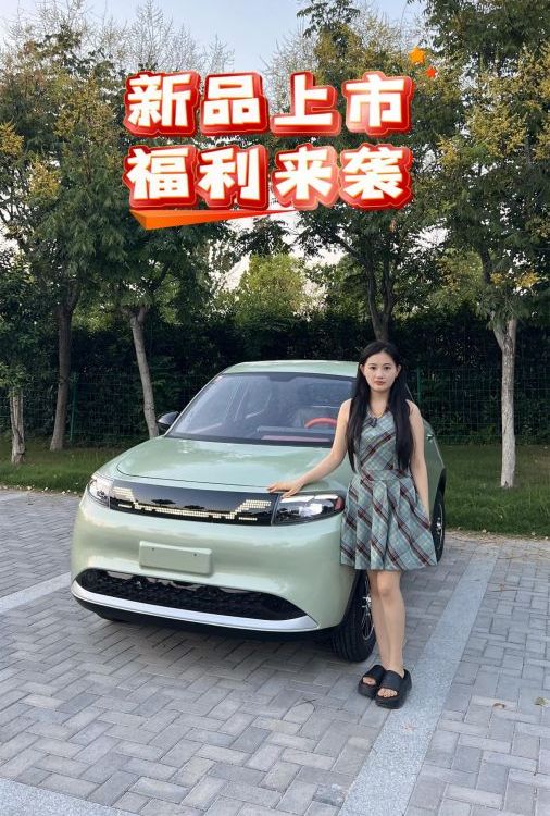 簡單好學的四輪車帶空調(diào)不用駕照的封閉車女性電瓶車