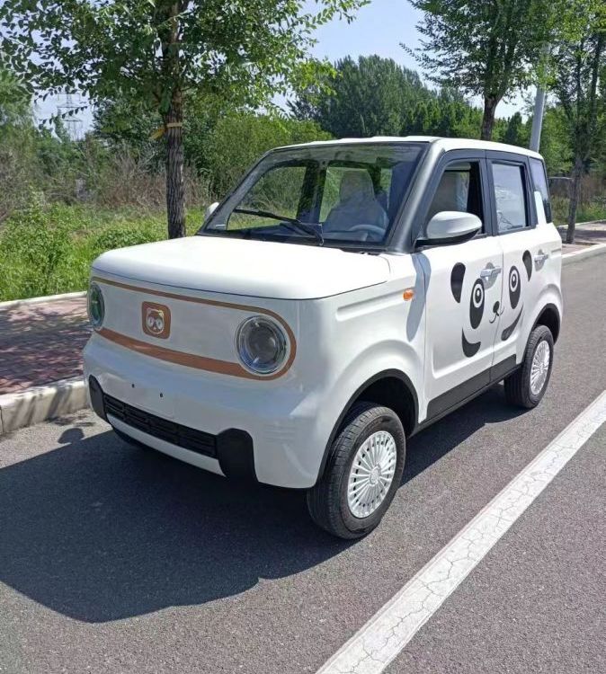 電動(dòng)觀光四輪車(chē)代步車(chē)家用新型低速油電兩用