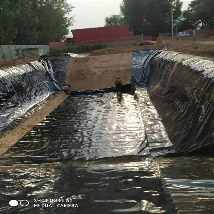 貴州魚塘防水膜廠家池塘土工膜養(yǎng)殖泥鰍道路用防滲2布1膜價(jià)格