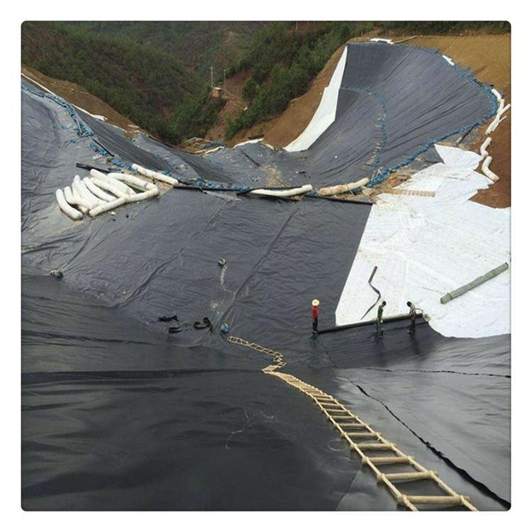 上海土工膜廠家現(xiàn)貨定制魚塘魚池水池養(yǎng)殖防滲土工膜蓮藕塘