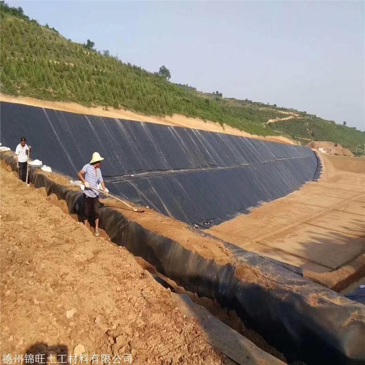 水產(chǎn)養(yǎng)殖地膜0.8mm_魚(yú)塘防水專用黑膜_蝦池防滲土工膜