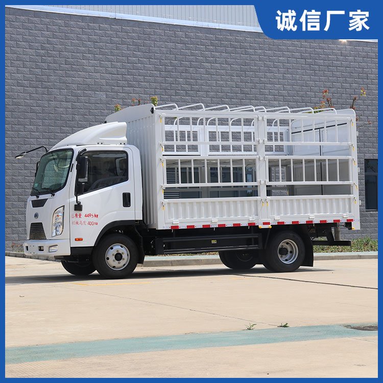 楚風(fēng)純電動(dòng)倉(cāng)柵車4.2米倉(cāng)欄式輕卡續(xù)航能力強(qiáng)單排綠通廂式車