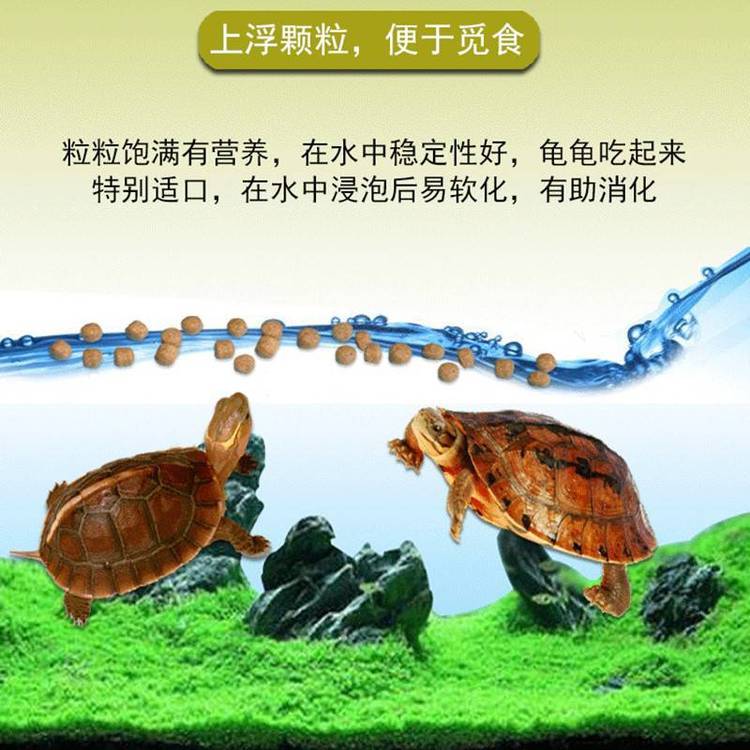 膨化浮水龜飼料加工機(jī)器寵物營(yíng)養(yǎng)錦鯉魚(yú)糧生產(chǎn)設(shè)備