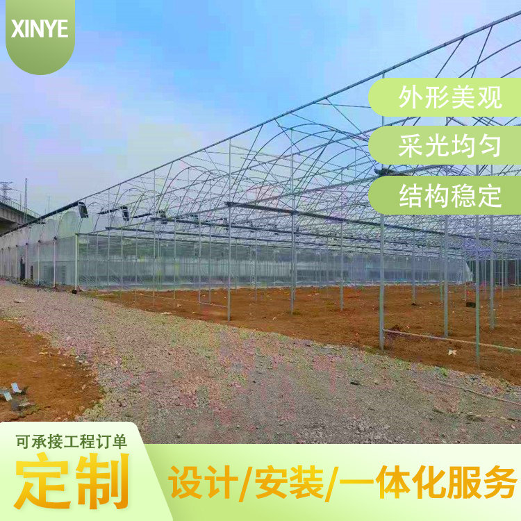 蘭花種植內(nèi)外遮陽連棟薄膜大棚空間大作業(yè)方便