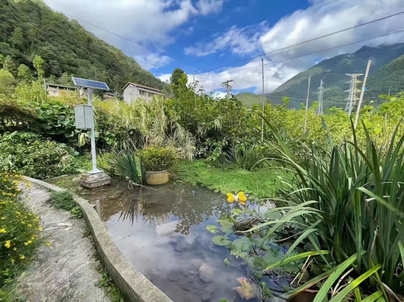 河道水庫水質(zhì)自動(dòng)遠(yuǎn)程水文在線監(jiān)測(cè)系統(tǒng)岸邊式水質(zhì)監(jiān)測(cè)站