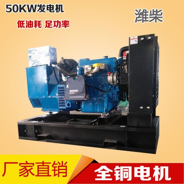 藥廠電站應(yīng)急用50kw柴油發(fā)電機組濰柴50千瓦三相全銅發(fā)電機工廠養(yǎng)殖專用