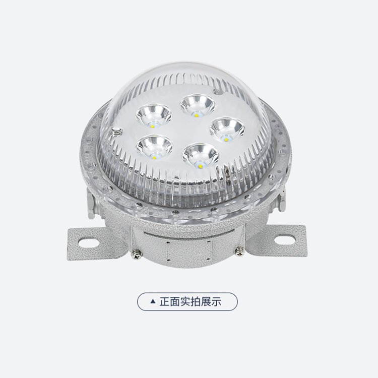 小功率防爆吸頂燈表面高壓靜電噴塑處理BSX86-V10W防腐燈三防燈