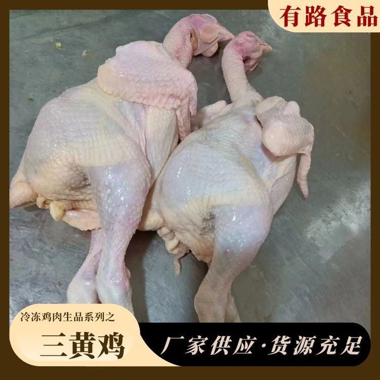 冷凍三黃雞批發(fā)貨源有路食品白條雞廠家銷售供應(yīng)國(guó)內(nèi)食品加工廠等