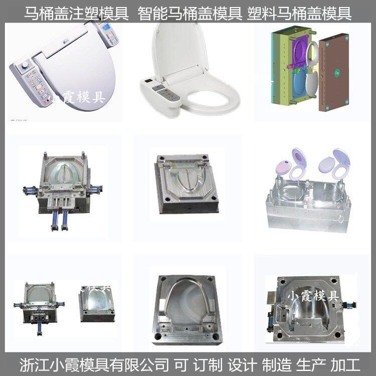 智能馬桶蓋塑膠模具智能馬桶蓋注塑模具\(yùn)/設(shè)計(jì)加工制造小霞模具\(yùn)模具廠公司\模具制作專做