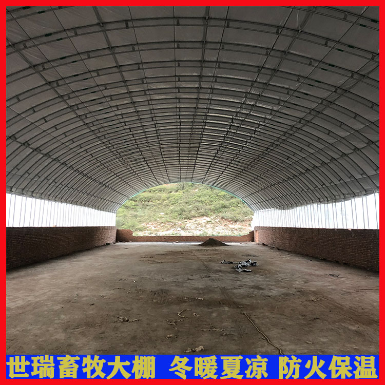 養(yǎng)雞場(chǎng)雞舍大棚建設(shè)肉雞養(yǎng)殖大棚搭建蛋雞舍大棚施工建造世瑞畜牧