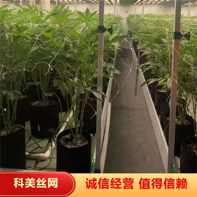 耐腐蝕按需定制育苗架蘑菇架耐磨耐用口碑良好大量供應(yīng)