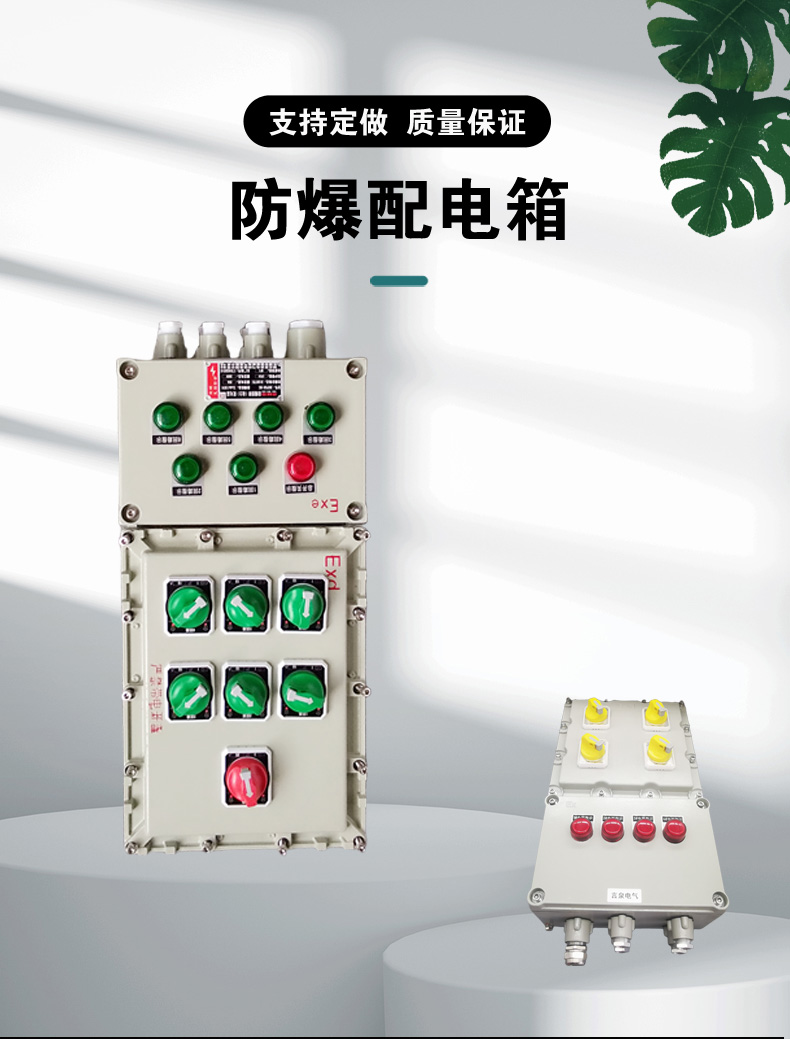 言泉防爆磁力啟動器配電箱防水防腐220V380V電機風機水泵開關箱