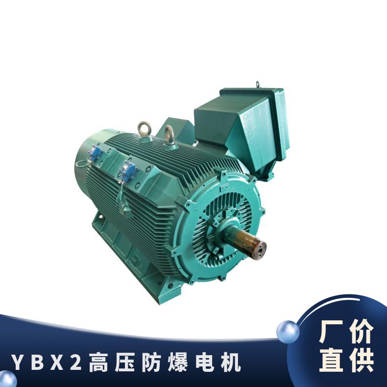 鴻泰高壓防爆電機(jī)YBX2-4002-6250KW988rpm電壓10KV\/6KV安裝維修