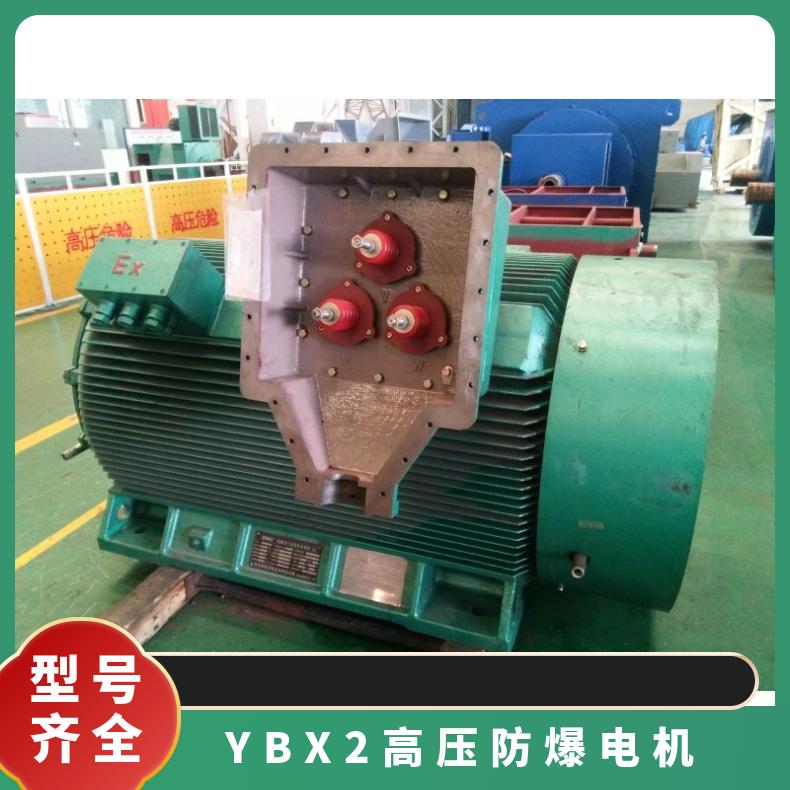 鴻泰防爆三相異步電機(jī)YBX2-3555-4280KW1485rpm濕熱型定制噪音小