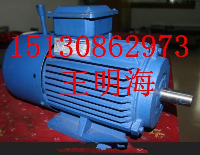 供應(yīng)衡水永動YE3-280M-4-90KW超高效節(jié)能三相異步電動機