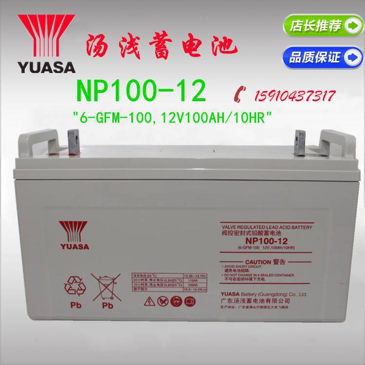 YUASA湯淺蓄電池NP100-12免維護(hù)鉛酸固定型12V100AH