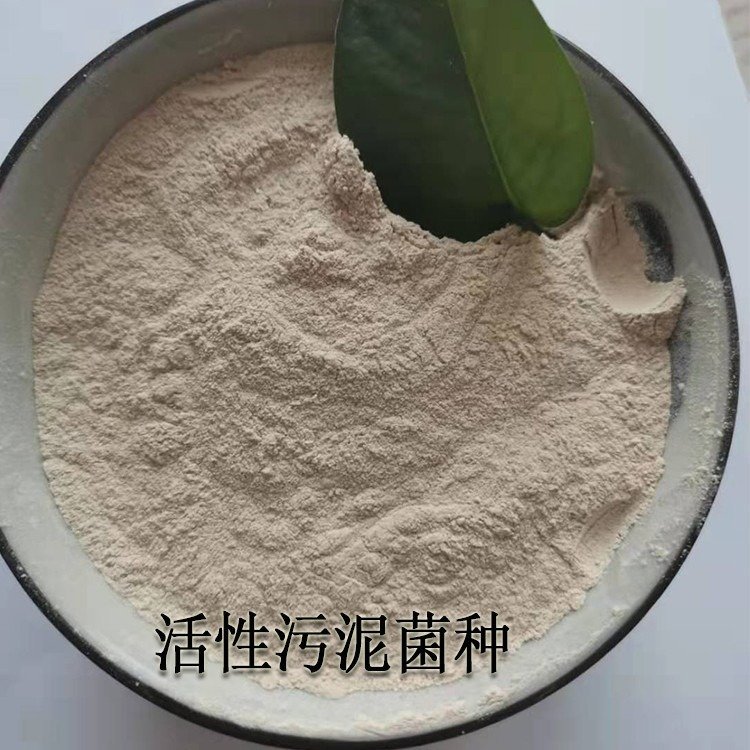 甘度污水處理菌-活性污泥菌種-硝化反硝化菌全程技術(shù)指導(dǎo)