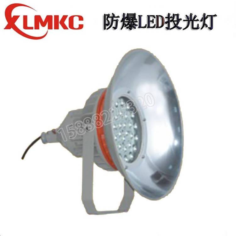 浙江新黎明環(huán)保FZD180-201-20wled三防投光燈免維護(hù)led防爆防爆燈